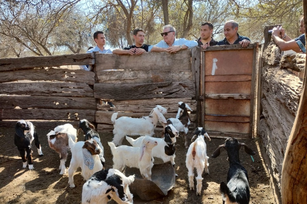 Busso entregó aportes a productores caprinos en Las Arrias