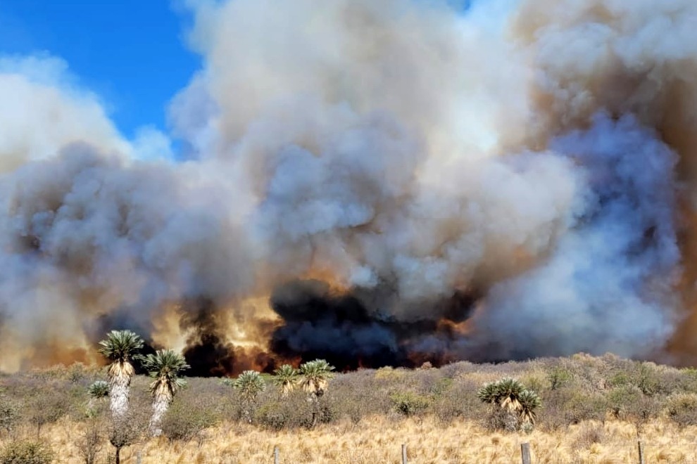 El incendio en Potrero de Garay está contenido con perímetro inestable