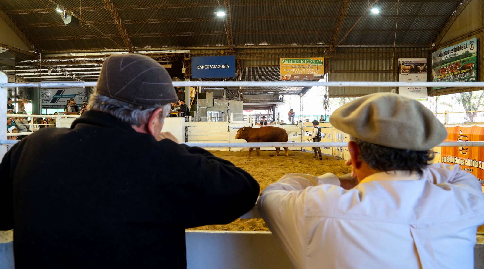 76º EXPO SRJM: RESUMEN DE VENTAS DE LOS REMATES BOVINOS Y OVINOS
