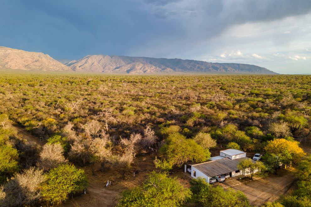 Pago por Servicios Ambientales: abrió nueva convocatoria para propietarios de tierras