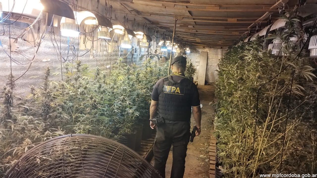 FPA DESBARATÓ UN INVERNADERO INDOOR Y SECUESTRÓ MÁS DE 11 KILOS DE MARIHUANA EN BARRIO CRISOL.