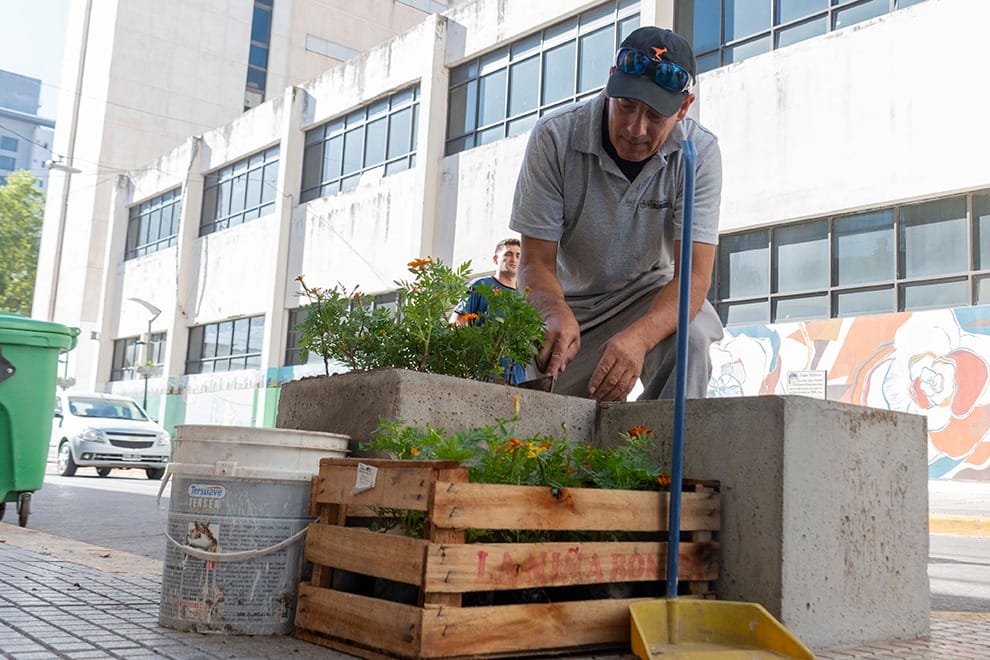Con plantines producidos por internos, se embellece el microcentro de Río Cuarto