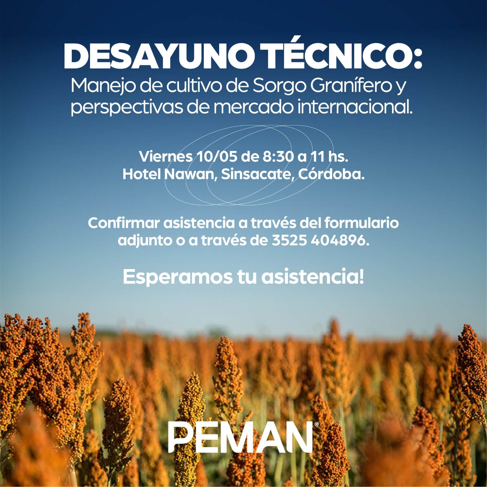 PEMAN: Cultivo sorgo, producción y comercialización.
