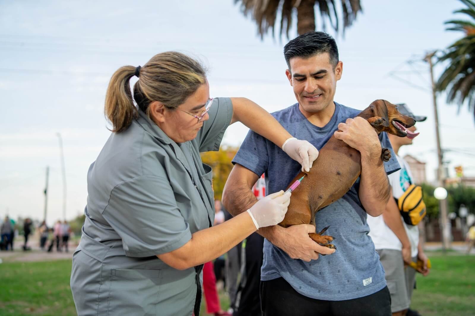 Se inmunizaron mas de 300 mascotas en la jornada de vacunación antirrábica