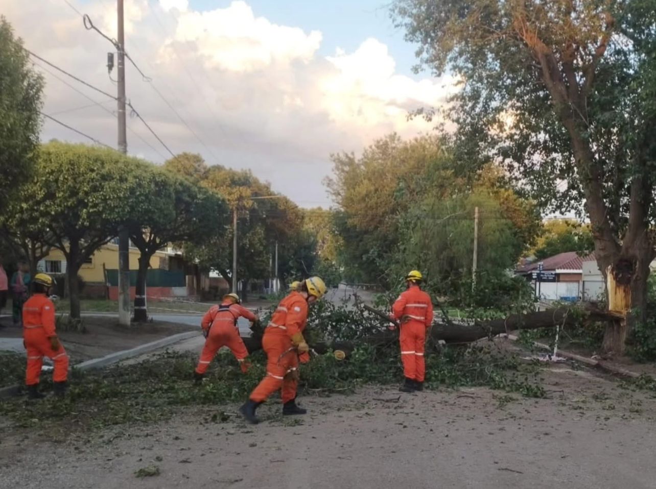 CAIDA DE ARBOLES POR LA TORMENTA EN COLONIA CAROYA Y COLONIA VICENTE AGUERO