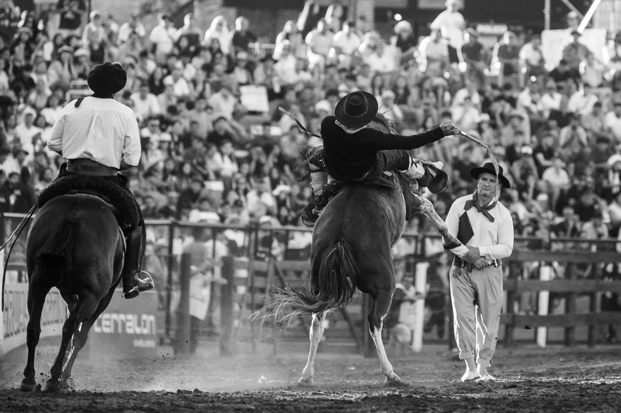 La cuarta noche del Campeonato de Jineteada fue para los Uruguayos.