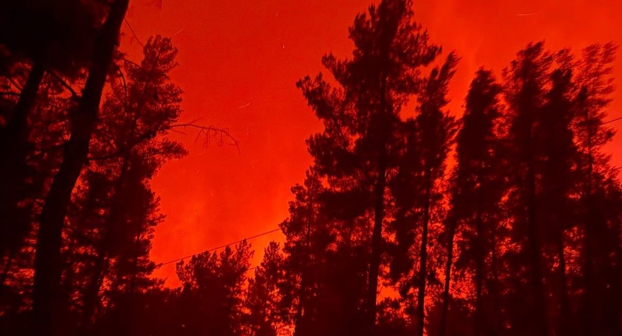 Chubut: un funcionario confirmó que hay cuatro causas penales por incendios forestales
