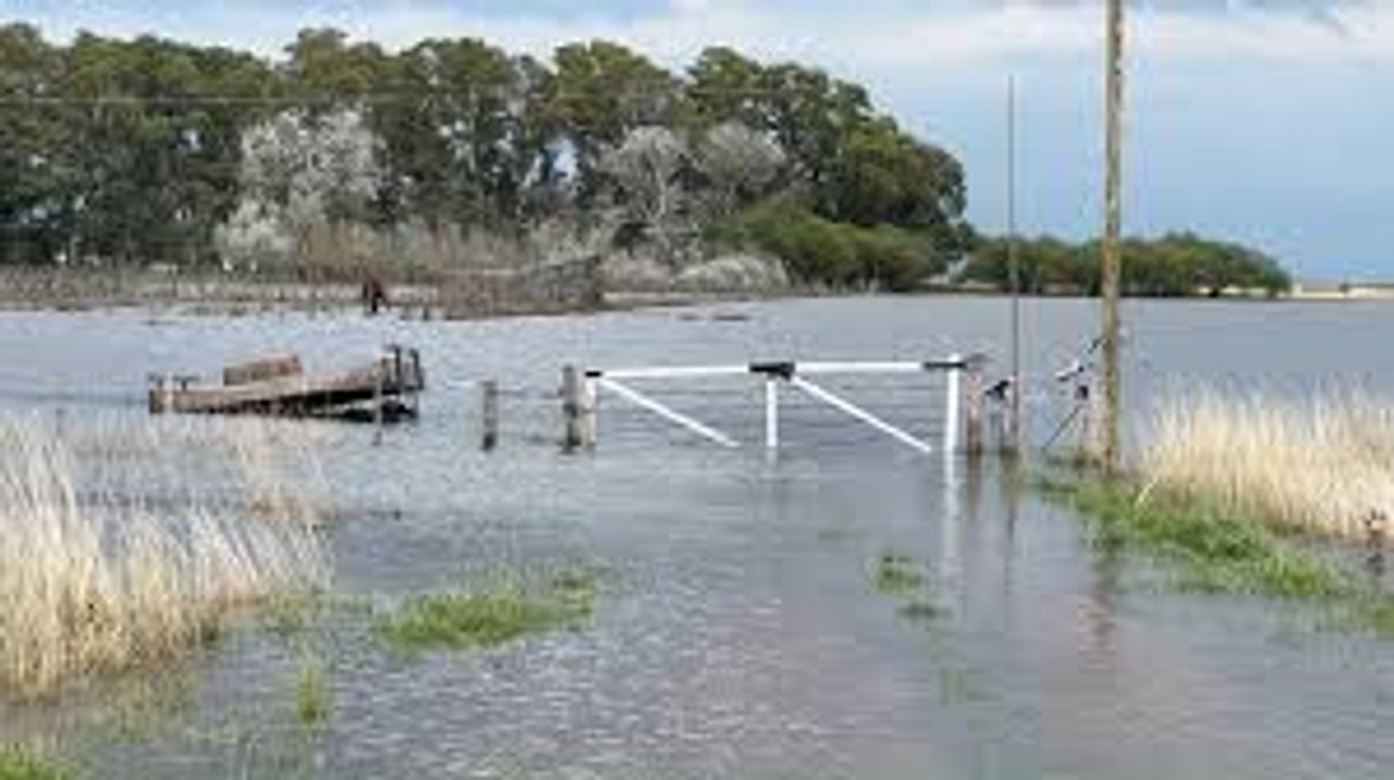 El Gobierno declaró la emergencia agropecuaria en municipios de Buenos Aires por inundaciones