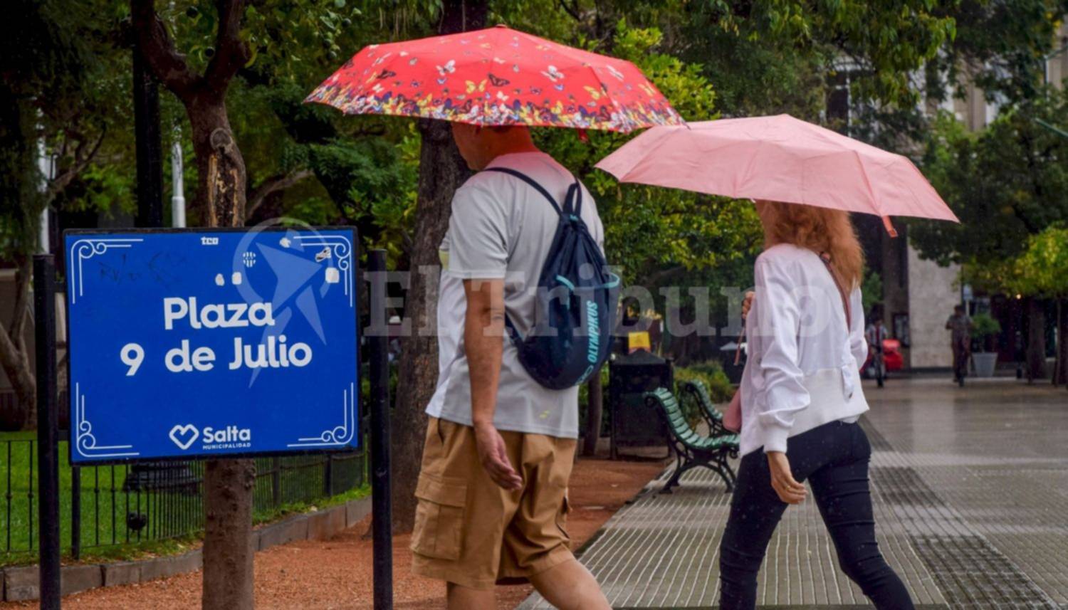 Clima en Salta. La lluvia avanza sobre la ciudad y en el interior de la provincia: hasta cuándo lloverá