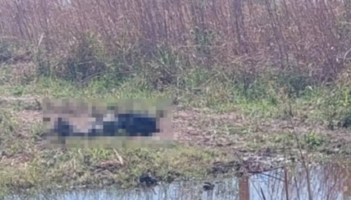 Orán: se reanuda el juicio por el crimen del puestero hallado decapitado y con las manos atadas en la ruta 34
