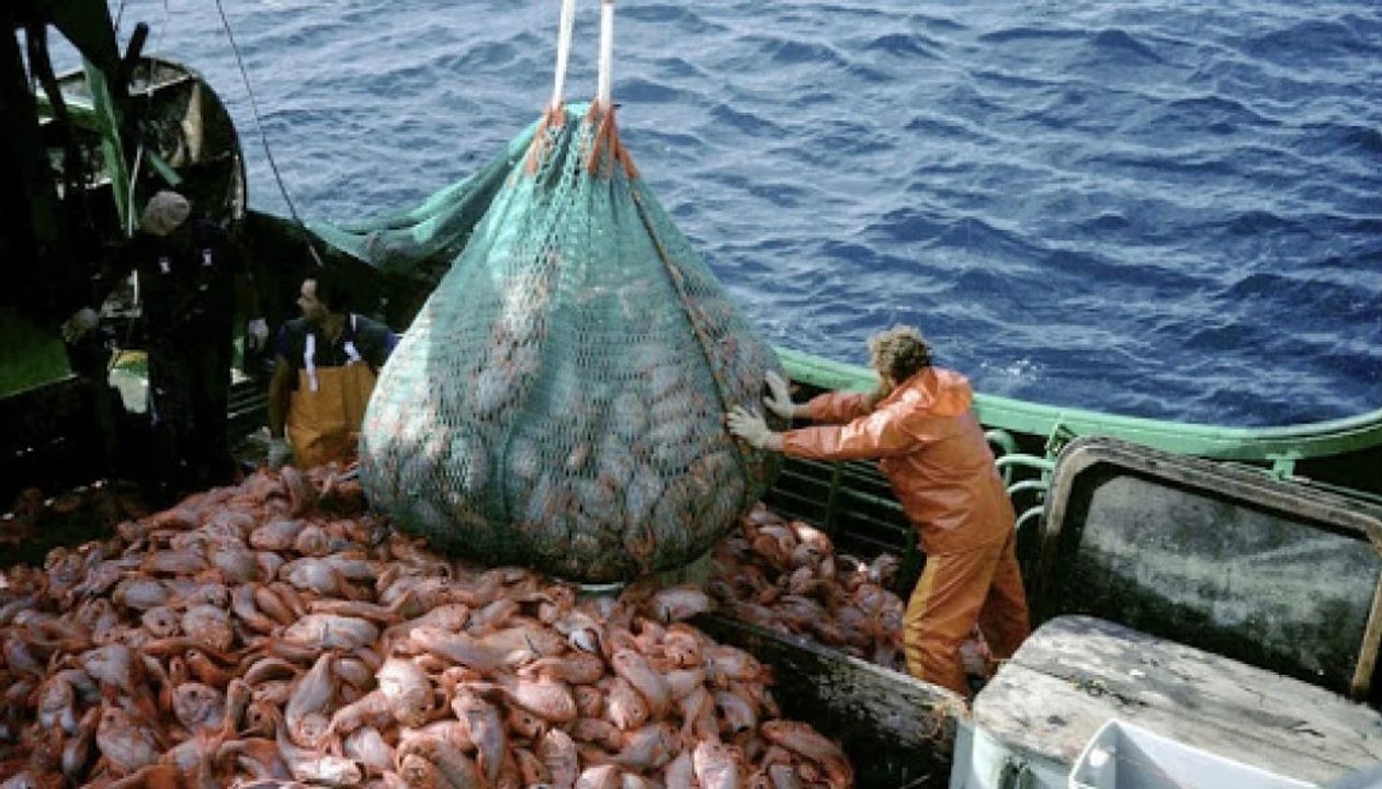 Argentina incluida en acuerdo de la OMC que limita subsidios a la pesca