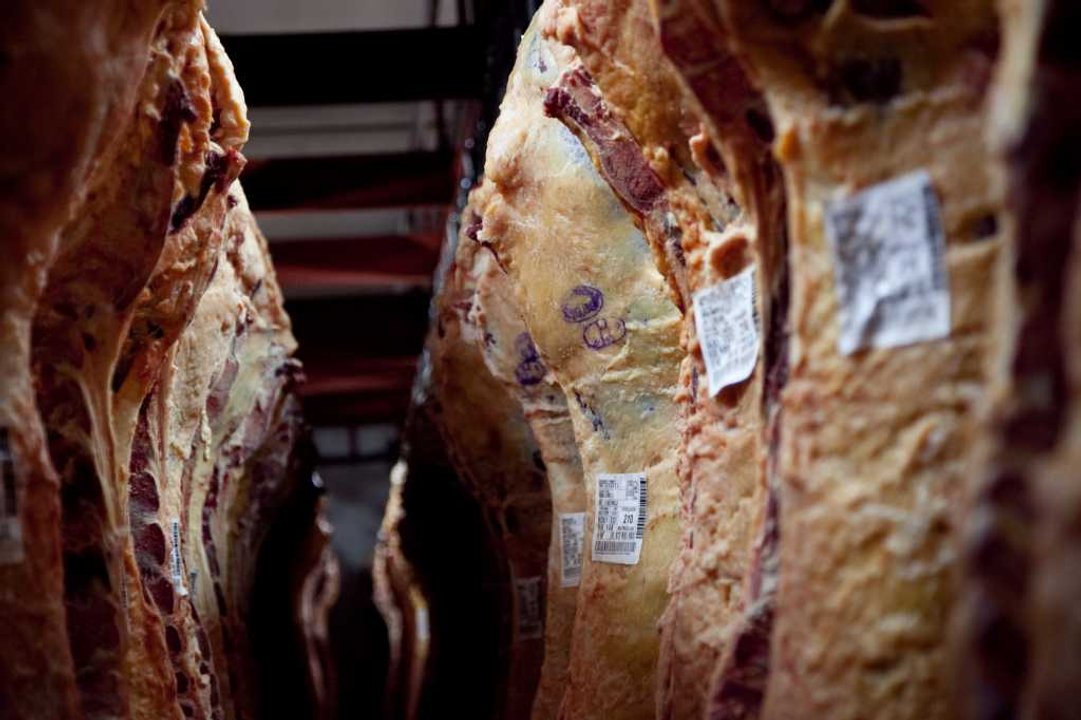 Cortes vacunos suben 7,4% en febrero y empujan la inflación alimentaria