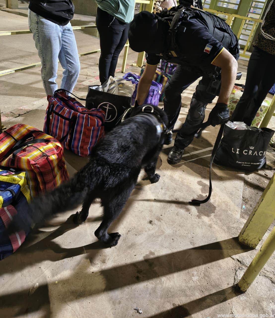 BOUWER: FPA JUNTO AL SERVICIO PENITENCIARIO SECUESTRARON COCAÍNA Y MARIHUANA EN UN CONTROL DE VISITAS. UN  DETENIDO