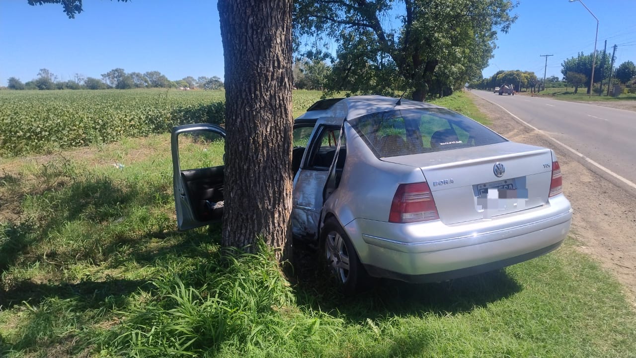 Tirolesa: se quedó sin frenos y chocó contra un árbol.