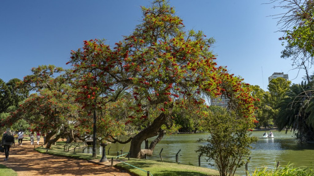 Clima hoy en Buenos Aires: el pronóstico del tiempo para este jueves 12 de marzo