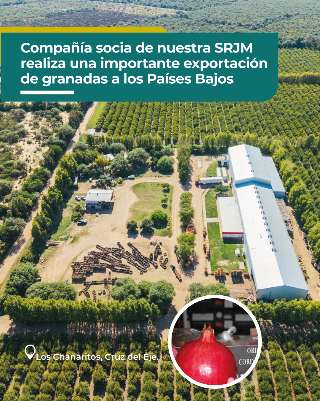 COMPAÑÍA SOCIA DE NUESTRA SRJM REALIZA UNA IMPORTANTE EXPORTACIÓN DE GRANADAS A  LOS PAÍSES BAJOS