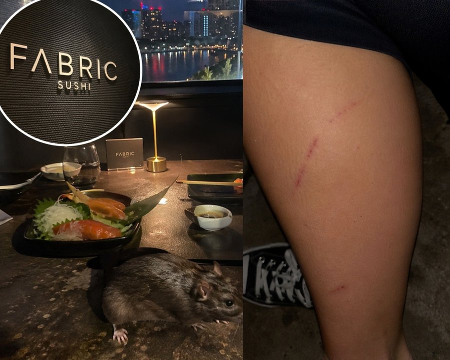 Denuncian presencia de ratas en mesas de Fabric Sushi