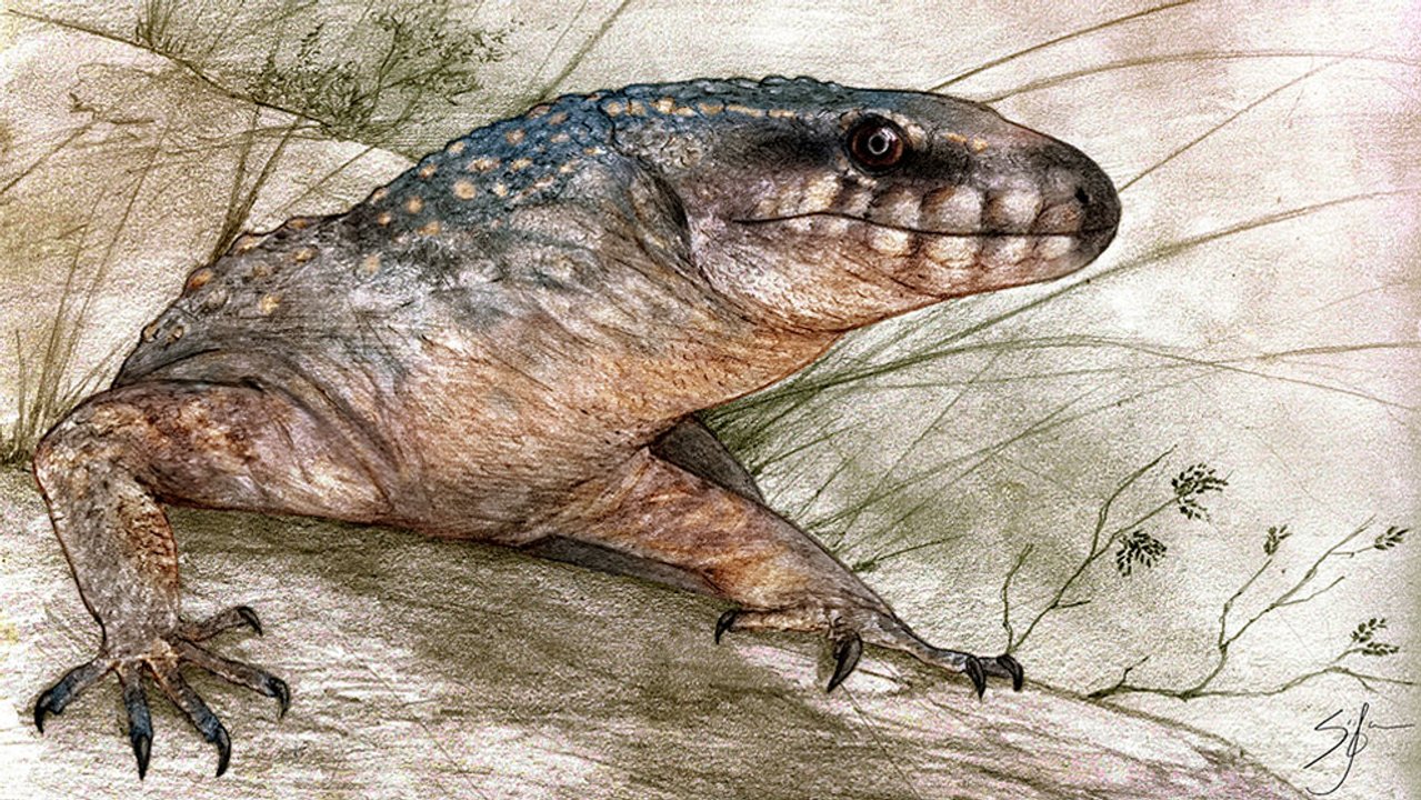 Hallan en la Patagonia un reptil de 70 millones de años y lo reconstruyen digitalmente