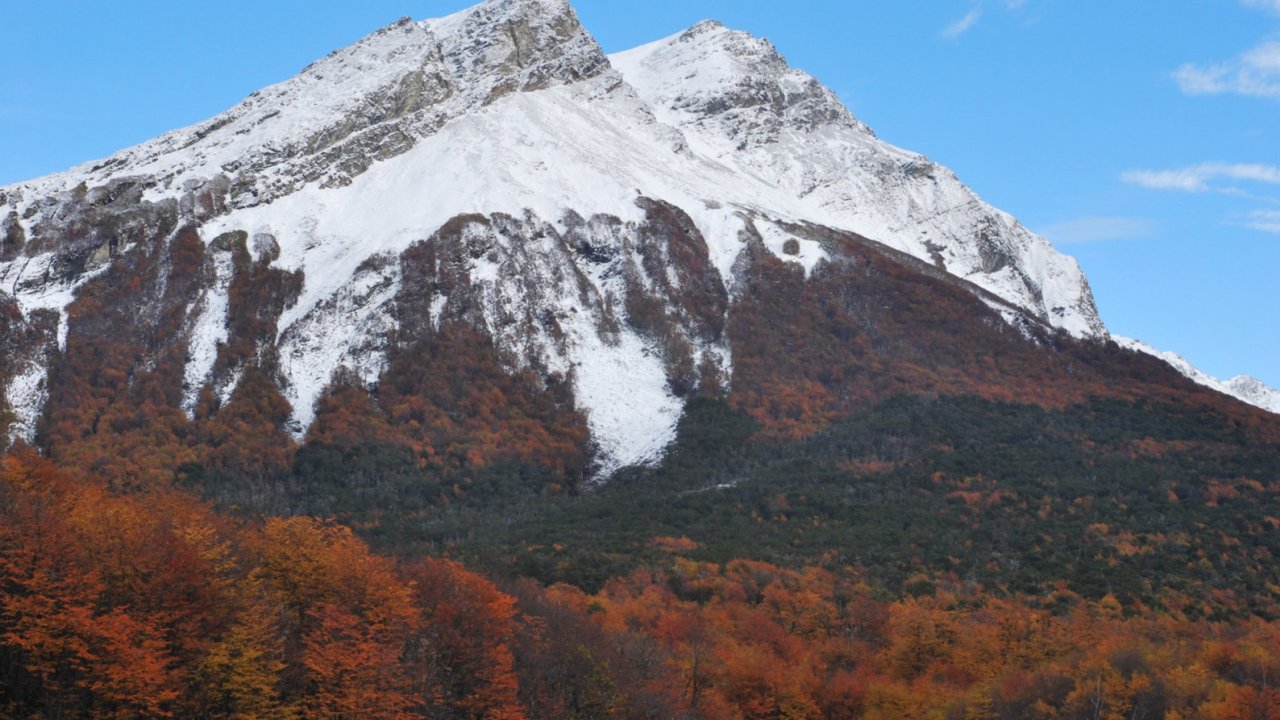 Cuáles son los cinco Parques Nacionales ideales para visitar en otoño