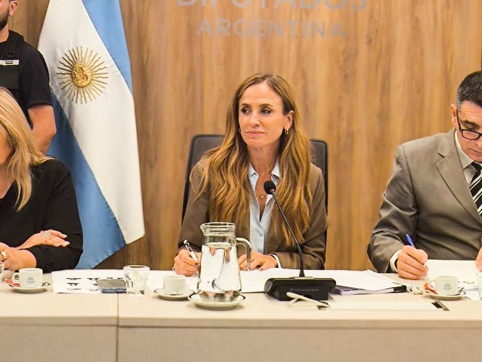 En Diputados advirtieron sobre el ajuste del Gobierno en políticas contra las adicciones