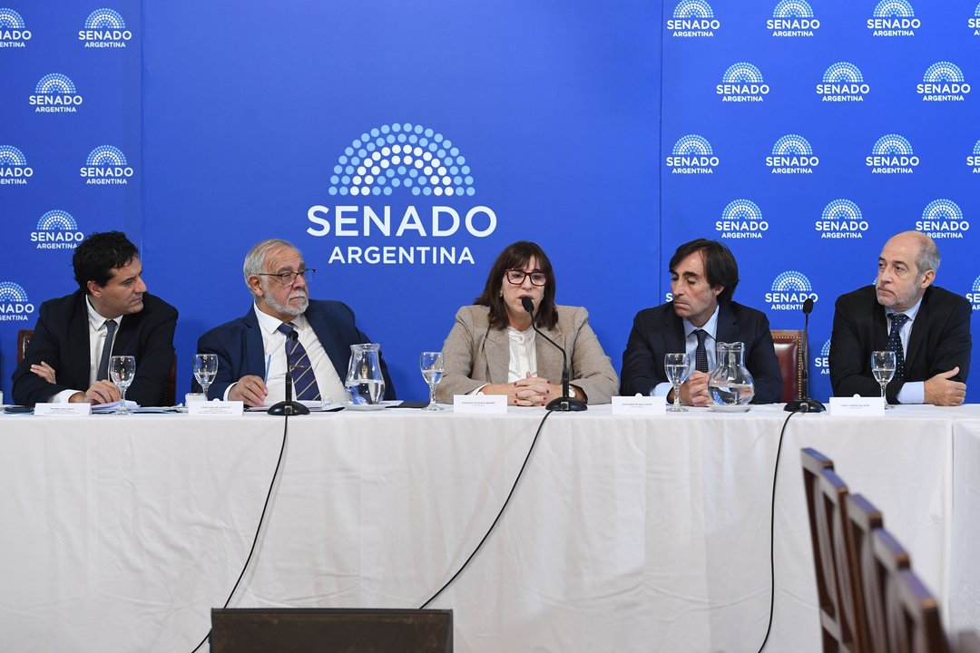 El Senado hará dos nuevas audiencias públicas con más candidatos ligados a la “familia judicial”