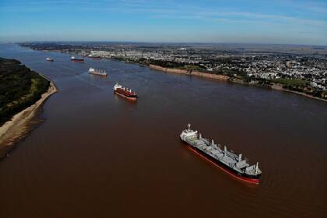 El sorgo recupera protagonismo por la demanda de China y renueva expectativas comerciales
