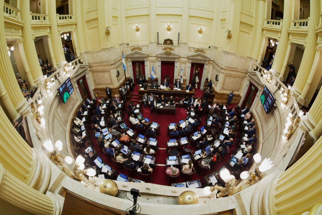 Senado debatirá la continuidad de Mahiques y proyectos sobre armas y fondos buitres