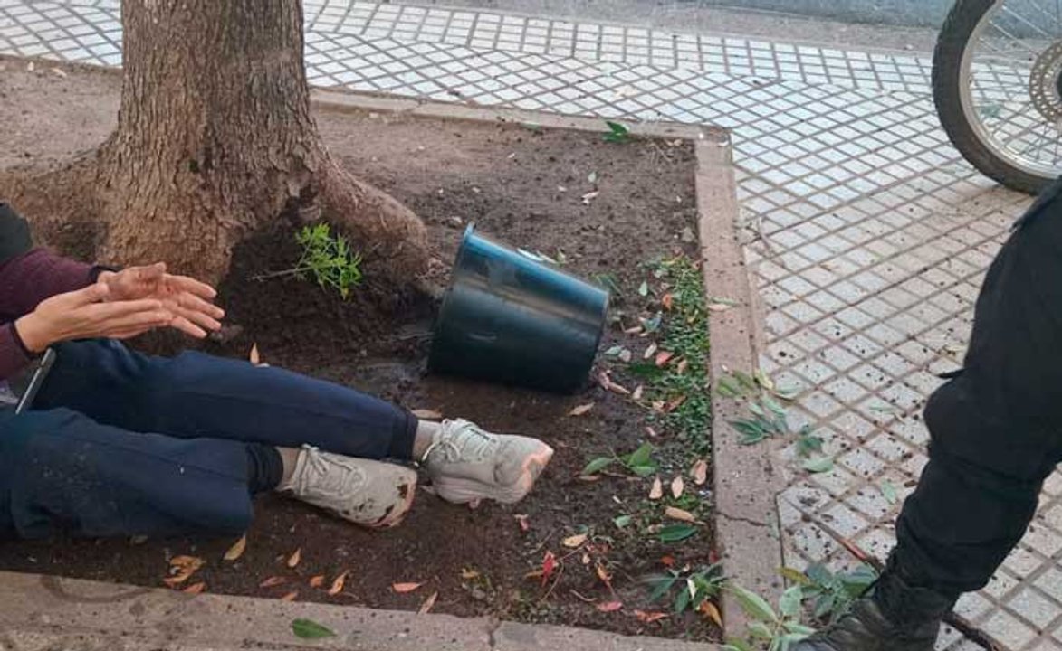 Insólito: caminaba por Rosario y le cayó encima una maceta con una planta de marihuana