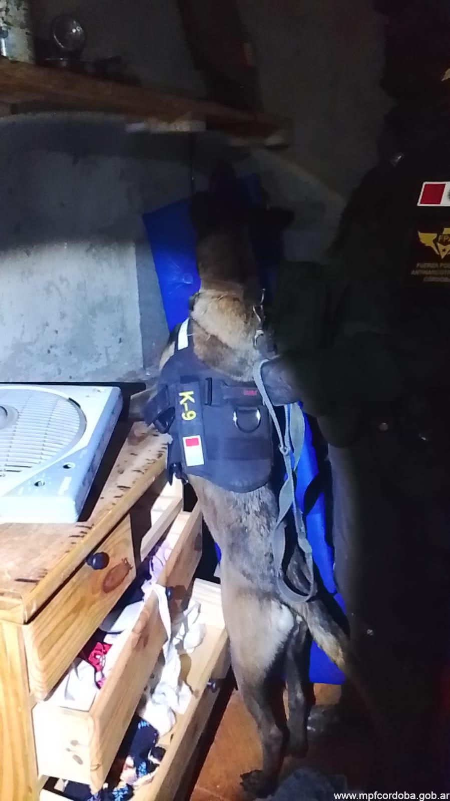 CÓRDOBA: FPA INCAUTÓ MÁS DE 5000 DOSIS DE COCAÍNA, UN ARMA DE FUEGO Y CARTUCHOS. DOS DETENIDOS