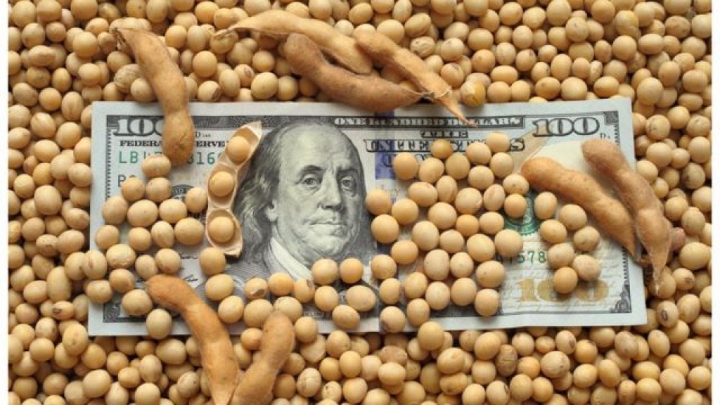 Soja y maíz impulsan aumento en previsión de exportaciones: BCR suma US$800 millones a la proyección