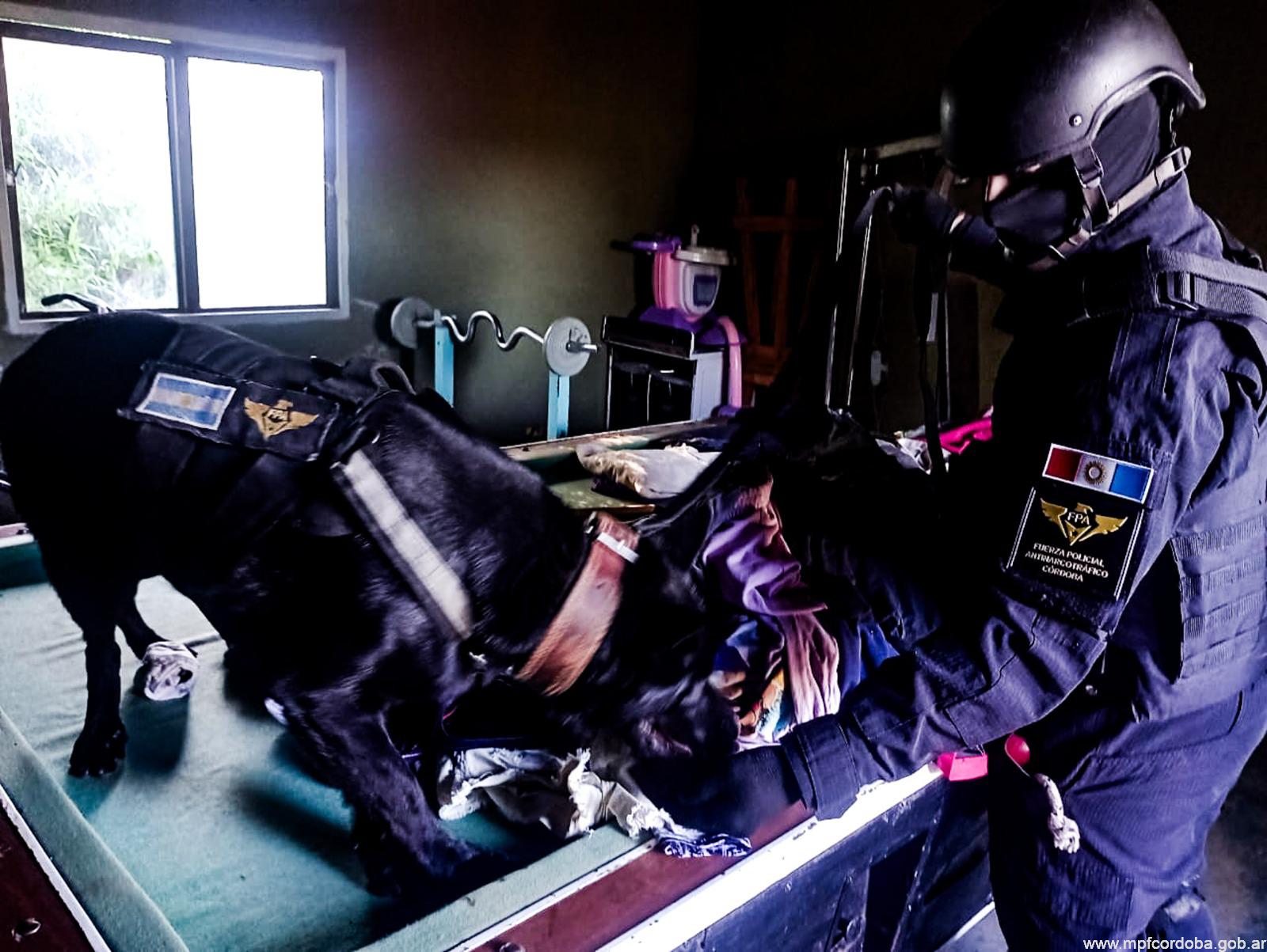 SANTA ROSA DE CALAMUCHITA: FPA DETUVO A UN HOMBRE QUE INTEGRABA UNA BANDA NARCO