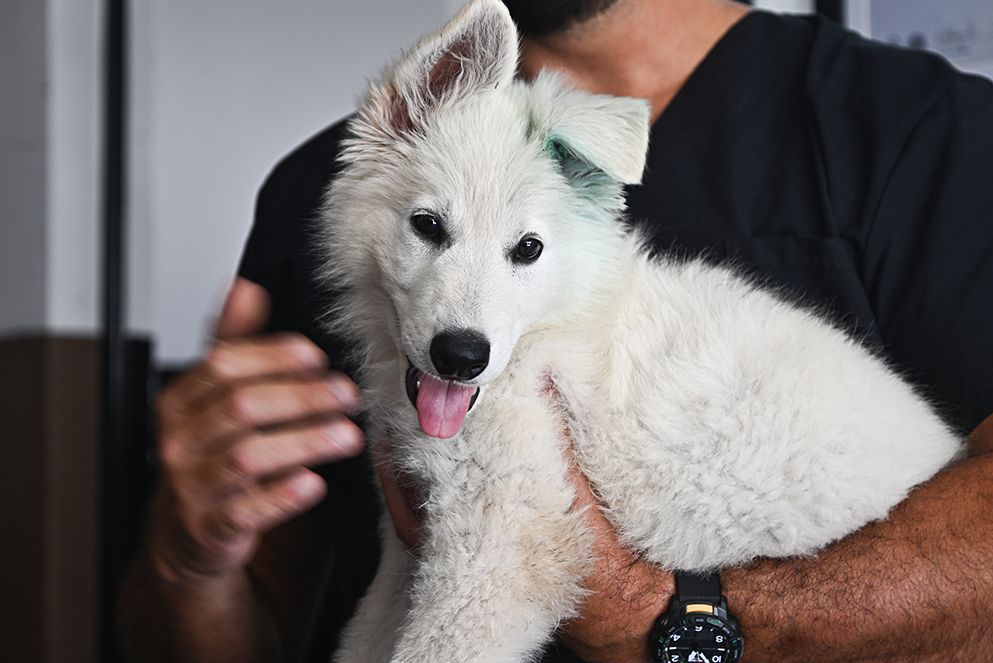 La FPA recibió un nuevo integrante para la División K-9