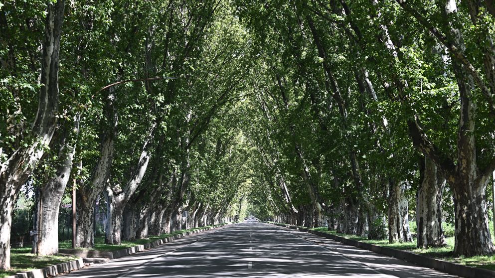 El “túnel natural” de Colonia Caroya cumple 110 años: Historia y futuro de un símbolo local